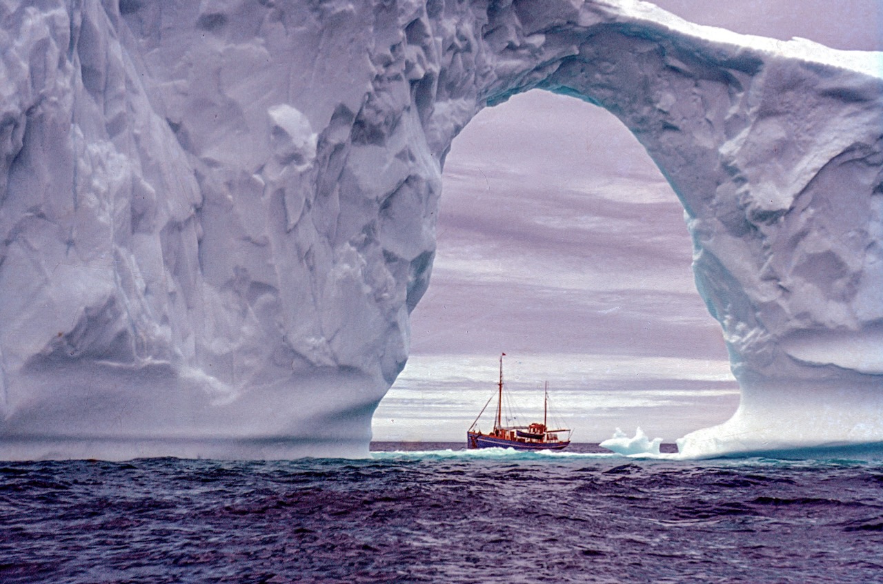 KIVIOQ indrammet af isbjerg. Vestgrønland 1963. Foto H. Storm