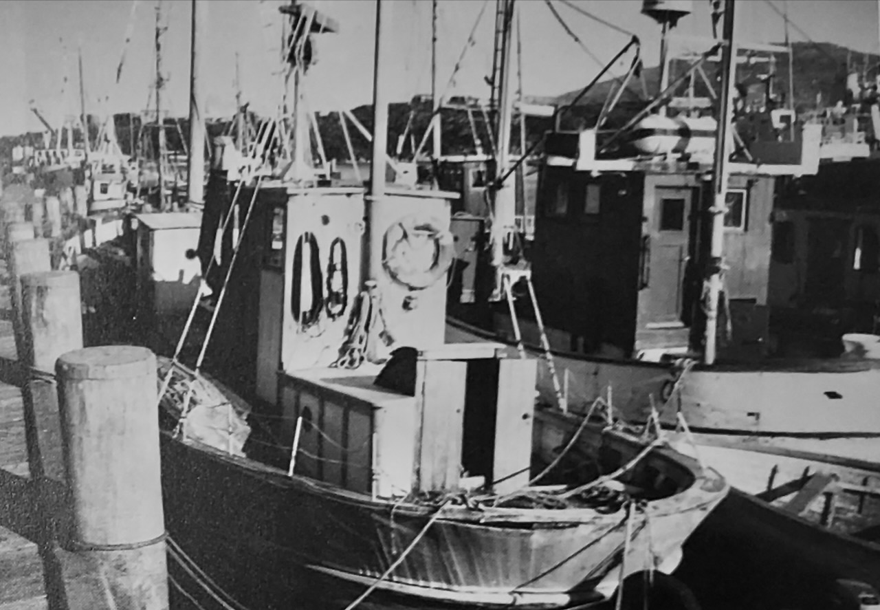 KIVIOQ ligger stille ved kutterkajen i Nuuk Havn, stadig mere forsømt. Her fotograferet sommeren 1988. Fotograf ukendt.
